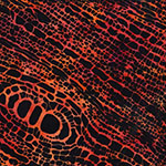 X2659-310-Fire <!DATE>