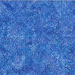 U2488-324-Dragonfly U2488-324-Dragonfly