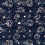 U2493-128-Midnight <!DATE>