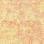 U2507-224-Poppy <!DATE>