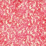 V2519-12-Pink <!DATE>