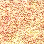 V2528-351-Sunny <!DATE>