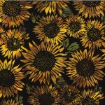 V2546-150-Sunflower <!DATE>