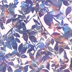 V2550-132-Opal <!DATE>