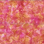 W2572-384-Mimosa <!DATE>