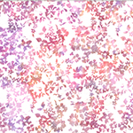 W2592-447-Sweetpea <!DATE>