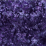 W2592-585-Galaxy <!DATE>