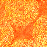 W2595-359-The_OC <!DATE>