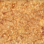 W2596-293-Fox <!DATE>