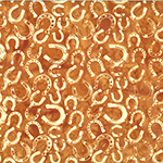 W2598-293-Fox <!DATE>