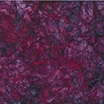 W2606-533-Nightshade <!DATE>