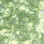 X2622-539-Parsley <!DATE>