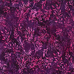 Y2670-405-Wild-Berry <!DATE>