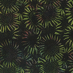 884-331-Herb <!DATE>