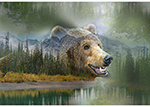 Y5776-611-River-Rock <!DATE>