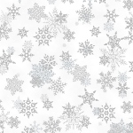 V7165-307S-Snow-Silver <!DATE>